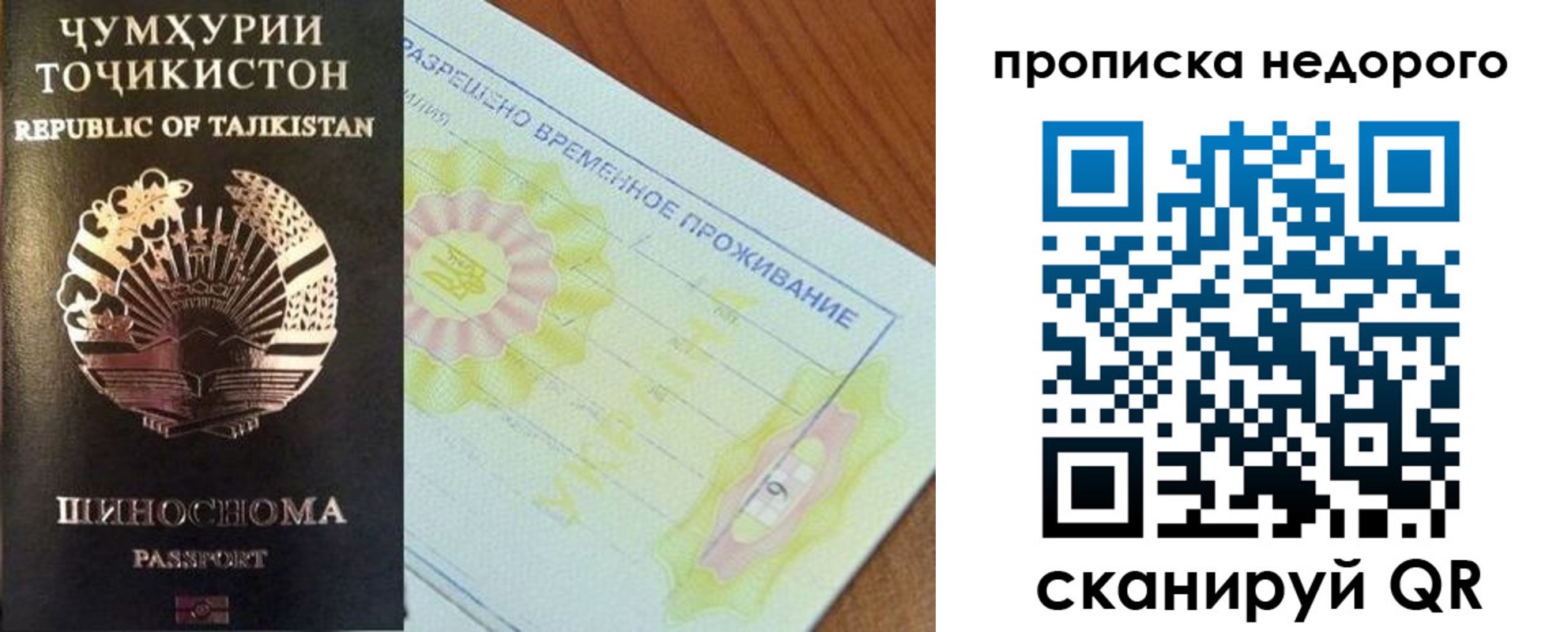 прописка 2025 в Алексине